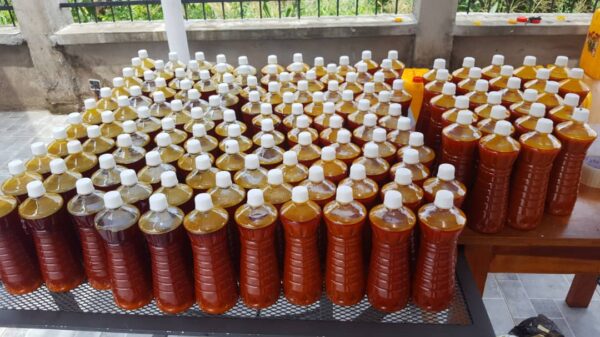 Crude Palm Oil for Sale - Image 8