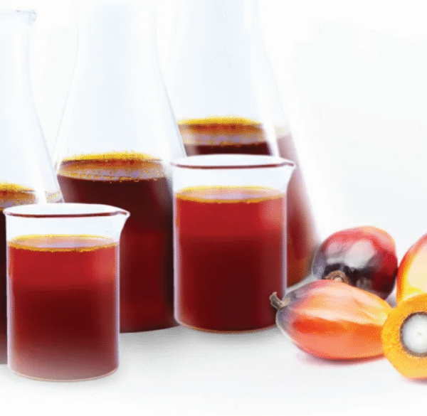 Refined Palm Oil for Sale in Bulk - Image 6